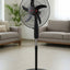 Abanico de Pedestal Sankey 20" - 50 cm